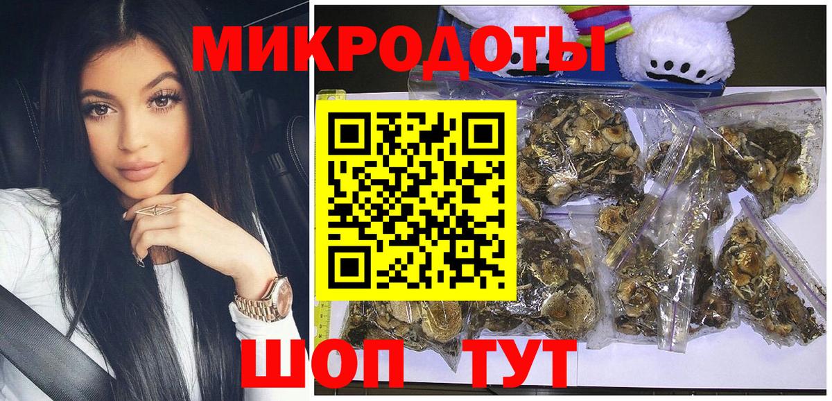 Галлюциногенные грибы Psilocybine cubensis Химки