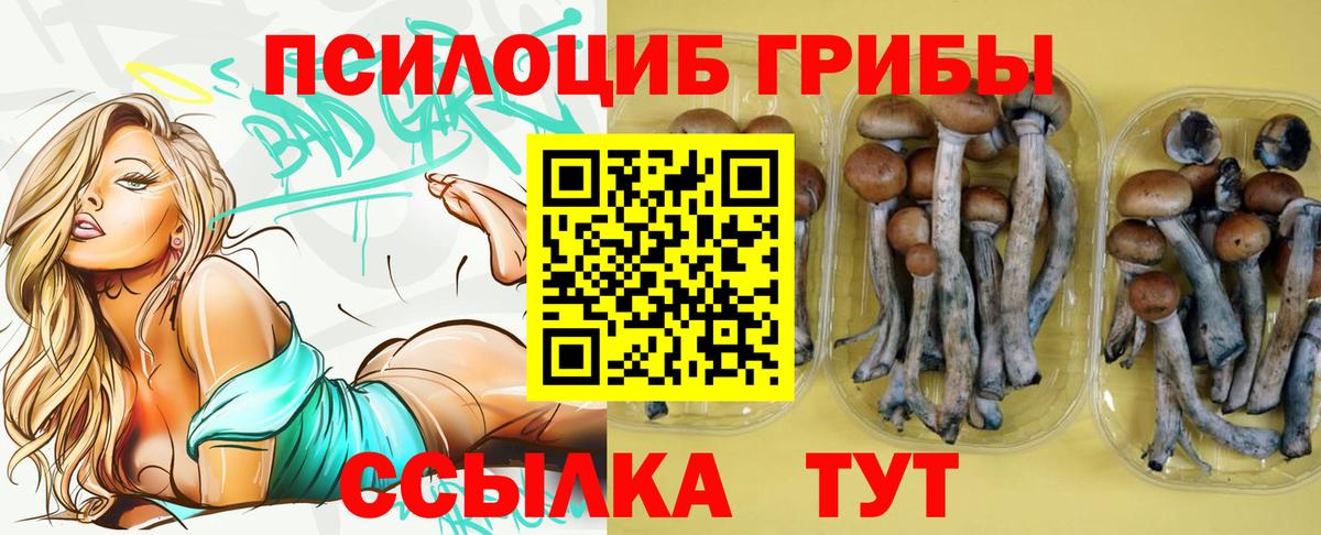 Псилоцибиновые грибы прущие грибы  Вход с VPN  Химки 